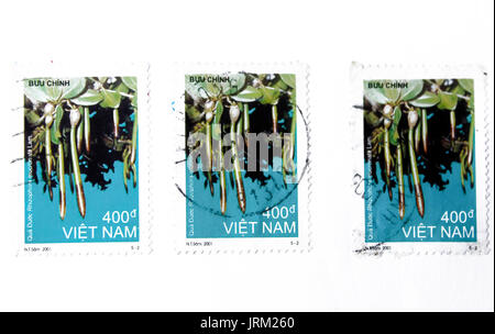VIETNAM - circa 2001: un timbro stampato in Vietnam mostra podocarpus frutta, circa 2001 Foto Stock