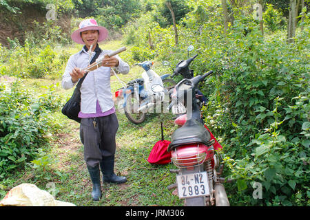 HAI DUONG, Vietnam, 20 Maggio: giovane andare uccelli di intrappolamento nella foresta a maggio, 20, 2014 di Hai Duong, Vietnam. Foto Stock