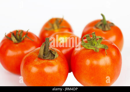 Foto di molto i pomodori freschi presentato su sfondo bianco Foto Stock