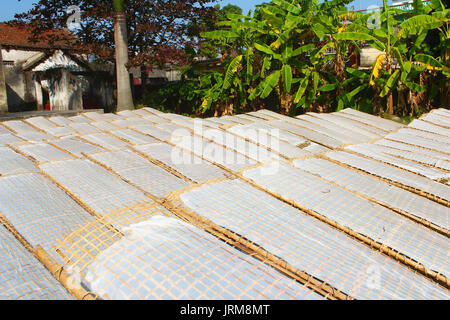 Tradizionalmente realizzati in carta di riso in essiccazione sun, Vietnam Foto Stock