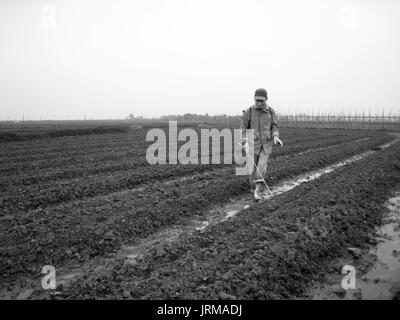 HAI DUONG, Vietnam, luglio, 20: gli agricoltori spruzzare erbicidi di recente piantati i campi di fagioli su luglio, 20 2013 di Hai Duong, Vietnam Foto Stock