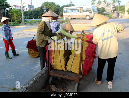 HAI DUONG, Vietnam, 27 maggio: donne vietnamita raccogliere i bastoncini di incenso dopo essiccamento su maggio 27, 2013 di Hai Duong, Vietnam Foto Stock