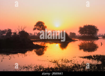 Zona umida di riserva a sunrise, Keoladeo Ghana National Park, Bharatpur Rajasthan, India Foto Stock