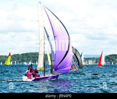 I bambini la vela in alta scuola campionati di vela. Il Belmont, lago Macquarie, Nuovo Galles del Sud, Australia. Foto Stock