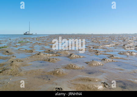 Panorama della piana di fango con colate di lugworm e asciugata in barca a vela con la bassa marea su Waddensea, Paesi Bassi Foto Stock