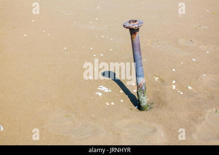 Vecchio di ferro arrugginito pole con ombra e escrementi sulla sabbia della spiaggia di costa del Mare del Nord, Paesi Bassi Foto Stock