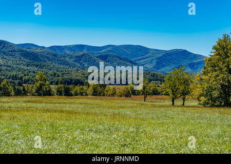 Great Smokey Mountains National Park come visto da Cades Cove, una valle stretta vicino a townsend, Tennessee, Stati Uniti d'America. Foto Stock