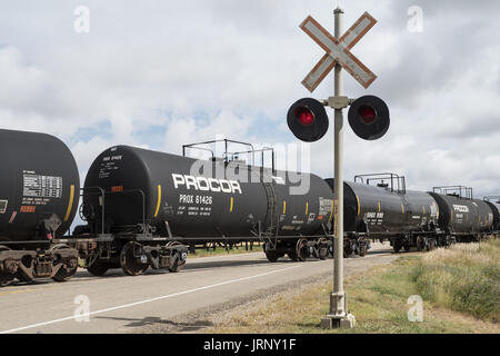 Shaunavon, Saskatchewan, Canada. 26 Ago, 2016. Vetture di navi cisterna che trasportano molton zolfo e petrolio greggio su Great Western Railway treno merci velocità attraverso un passaggio a livello vicino a Shaunavon, Saskatchewan. La breve linea ferroviaria opera nel sud-ovest del Saskatchewan sulle vie una volta di proprietà di Canadian Pacific Railway. Credito: Bayne Stanley/ZUMA filo/Alamy Live News Foto Stock