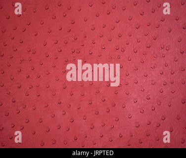 Texture di sfondo di pelle di struzzo close up Foto Stock