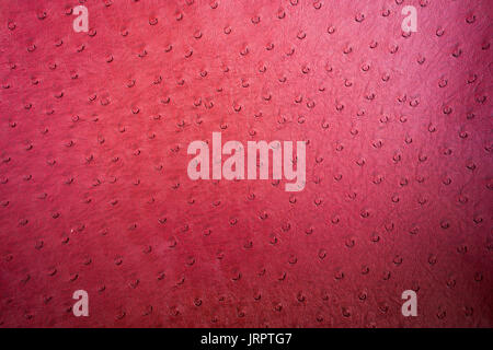 Texture di sfondo di pelle di struzzo close up Foto Stock