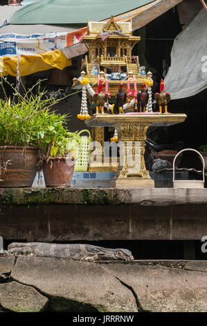 Un monitor acqua in appoggio sui passi accanto a un santuario all'entrata di un waterside house sulla Khlongs in Thonburi, Bangkok, Thailandia Foto Stock