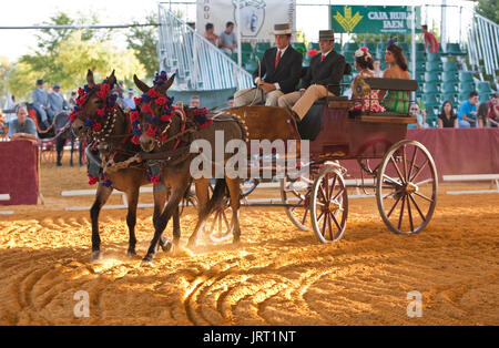 Carro trainato da cavalli durante il periodo di esposizioni in equestre Andujar, Andalusia, Spagna Foto Stock