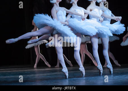 Bellezza e agilità, dancing concetto. a braccetto in quattro eleganti e femmina leggiadre ballerine, giocare i ruoli di petite cigni, spostamento, ballando e saltando in modo sincrono Foto Stock