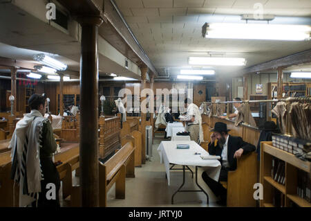 La Torah e la lettura presso le preghiere del mattino all'interno lubavitch sede in Crown heights brooklyn new york. Foto Stock