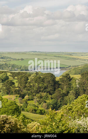 Guardando oltre la parte di Salcombe - Kigsbridge estuario vallata da Salcombe, South Devon, Regno Unito. Foto Stock