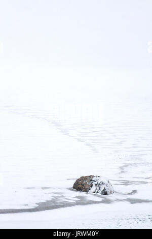 Coperte di neve e spiaggia di roccia in whiteout condizioni durante una tempesta di neve Foto Stock