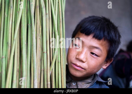 Un ragazzo portano il bambù nel modo di sapa per i vicini villaggi di lao chai e ta van. Vietnam. Foto Stock