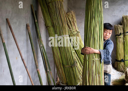 Un ragazzo portano il bambù nel modo di sapa per i vicini villaggi di lao chai e ta van. Vietnam. Foto Stock