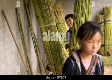 Un ragazzo portano il bambù nel modo di sapa per i vicini villaggi di lao chai e ta van. Vietnam. Foto Stock