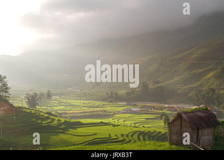 Tramonto in terrazze di riso nelle vicinanze di Lao Chai village. Trekking Sapa a Lao Chai. Il Vietnam. Foto Stock