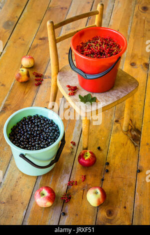 Secchi pieno del rosso e del nero bacche Ribes stand sulla veranda durante la raccolta Foto Stock