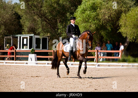 Rider competere nel concorso dressage classic, Montenmedio, Cadiz, Spagna Foto Stock