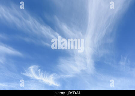 White cirrus nuvole contro un cielo blu su una bella giornata d'estate. Foto Stock