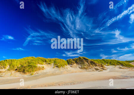 Mare del Nord le dune di sabbia in De Haan, Belgio al tramonto Foto Stock