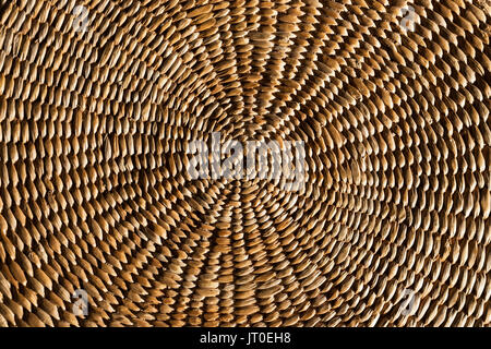 Close up sullo sfondo di un autentico e rustico spirale intessuto di vimini tappeto d'erba. Foto Stock