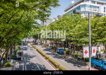 Omotesando Avenue visto da un cavalcavia, Tokyo, Giappone, noto come una delle famose strade dello shopping in tutto il mondo. Foto Stock