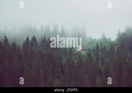 Piccola casa su un verde pendio di montagna Foto Stock