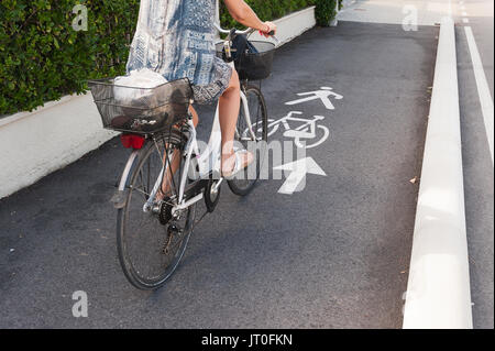 Noleggio cartello stradale e la freccia. Una pista ciclabile per il ciclista. Foto Stock