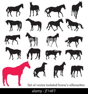 Il vettore isolato sagome di cavalli in piedi, trotto e al galoppo in colore nero su sfondo bianco Illustrazione Vettoriale