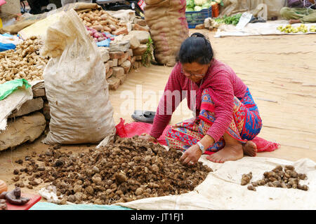 Donna nepalese ordinamento taro radici in un mercato esterno, Bhaktapur. Foto Stock