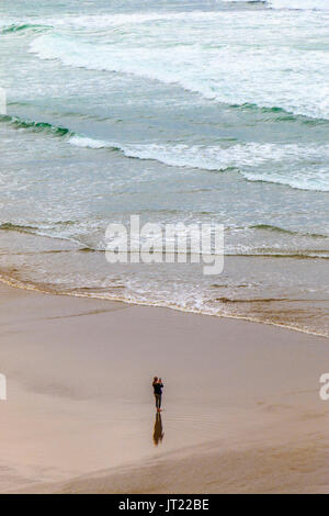Vista della spiaggia da spiaggia indiano sentiero, inizio di Clatsop loop trail a Ecola State Park in Oregon, USA. Questa spiaggia è molto popolare tra i surfisti Foto Stock