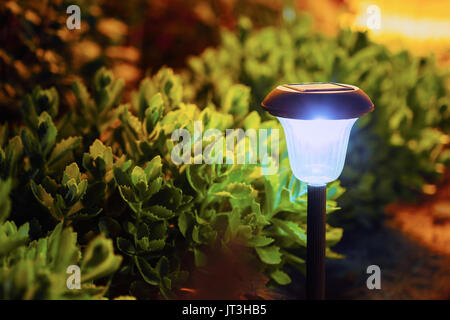 Piccolo decorativo luce giardino, lanterne nel letto di fiori. A energia solare lampada Foto Stock