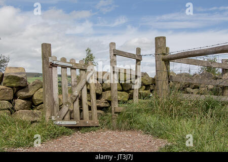 Un rustico, obliquo cancello di legno in un tradizionale muro di pietra che separa i campi in zone rurali lancashire campagna. Foto Stock