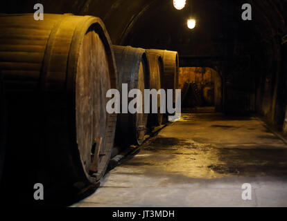 Vecchio grandi botti di rovere scuro in cantina Foto Stock