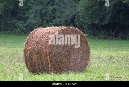 Balle di fieno che ne adornano il paesaggio Foto Stock