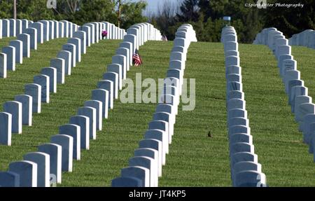 La riga su riga di marcatori di tomba nel cimitero di veterani di guerra Foto Stock