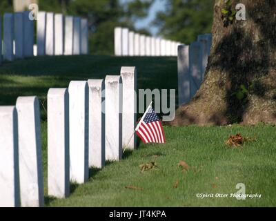 La riga su riga di marcatori di tomba nel cimitero di veterani di guerra Foto Stock