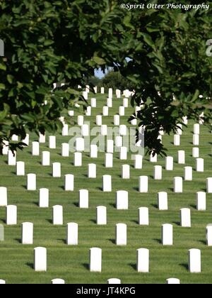 La riga su riga di marcatori di tomba nel cimitero di veterani di guerra Foto Stock