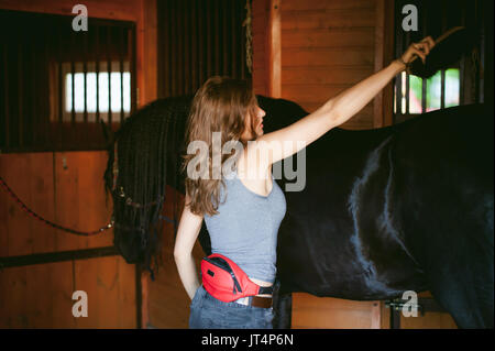 Donna horseman pulisce dallo sporco con spazzola il frisone cavallo in maneggio in azienda, avendo cura di animali di razza pura Foto Stock