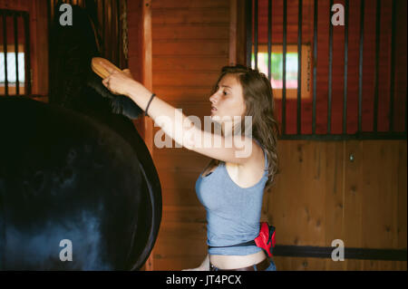 Donna horseman pulisce dallo sporco con spazzola il frisone cavallo in maneggio in azienda, avendo cura di animali di razza pura Foto Stock