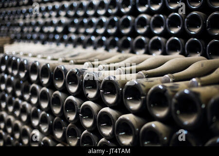 Di vino o champagne bottiglie invecchiate in cantina. Close up Foto Stock