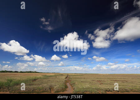 Ance e saltmarsh a Brancaster sulla Costa North Norfolk. Foto Stock