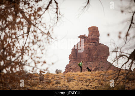 Una femmina di escursioni nel deserto area della Valle degli Dèi con il suo cane. Foto Stock