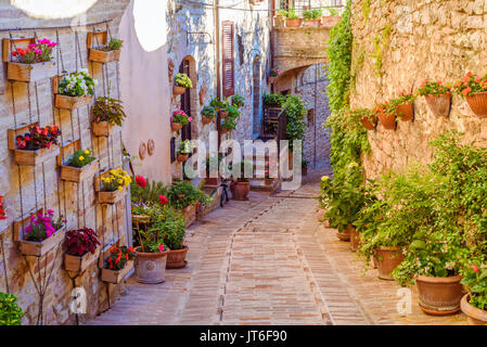 SPELLO, Italia - 27 Maggio 2017 - Vista di un tipico vicolo di Spello, un medievale e bellissima città in Umbria. Foto Stock