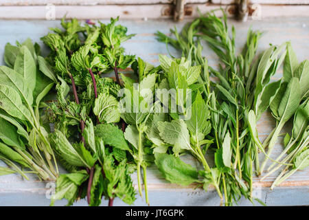 Assortimento di erbe aromatiche fresche menta, origano, thym, fioritura sage sul vecchio blu bianco cucina in legno tavolo. In stile rustico, la luce del giorno. Foto Stock