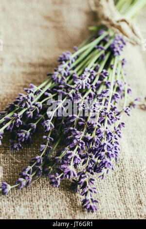 Bundle di organico Lavanda fiori su un letto di sacco. Close up, in stile rustico, la luce del giorno. Foto Stock